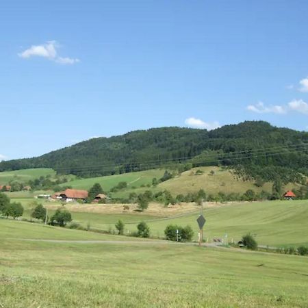Sonniges-Naturnahes-Schwarzwald-Ferienhaeuschen Welschensteinach Luaran gambar