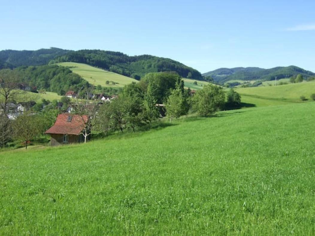 Sonniges-Naturnahes-Schwarzwald-Ferienhaeuschen Welschensteinach Luaran gambar