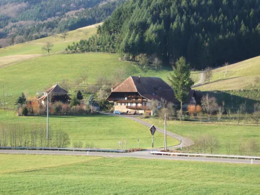 Sonniges-Naturnahes-Schwarzwald-Ferienhaeuschen Welschensteinach Luaran gambar